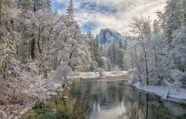 Winter, forest, trees, mountains, river, valley, CA, California