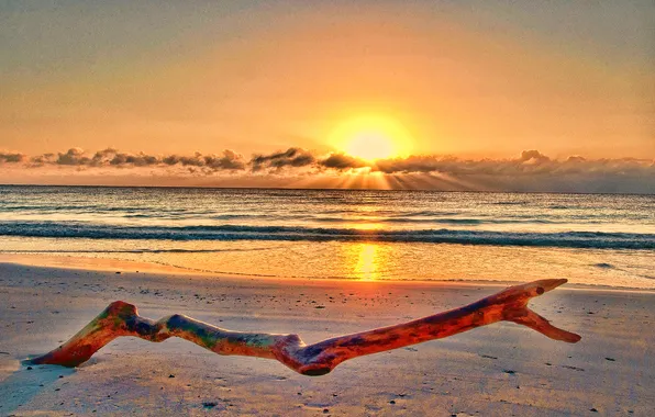 Sand, sea, the sky, the sun, clouds, sunset, branches, shore