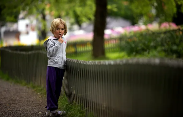Picture summer, the fence, girl