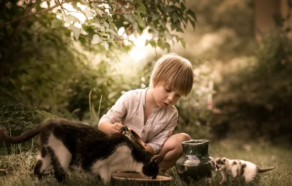 Picture cat, nature, boy, pitcher, kitty, friends, feeding