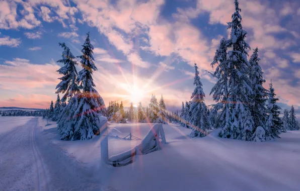 Winter, the sun, light, snow, star, morning, Norway