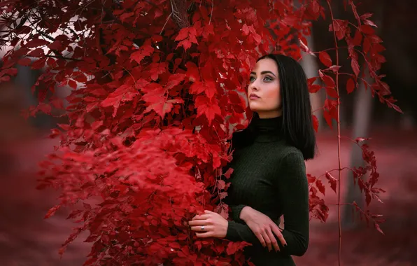 Picture autumn, look, girl, pose, Nastya, Arif Mounted