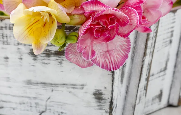 Flowers, petals, still life