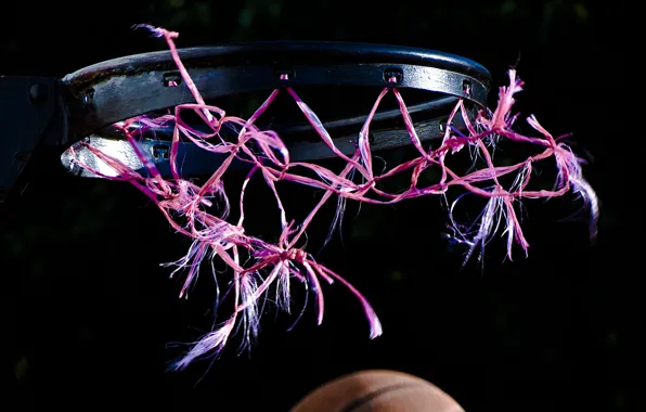 Sport, the ball, ring, Basketball