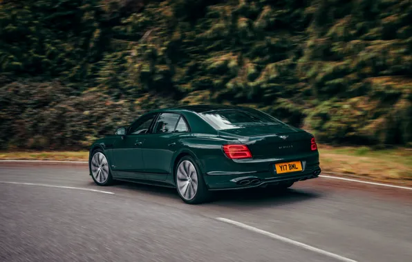 Picture forest, movement, Bentley, roadside, Flying Spur, 2020, V8, 2021