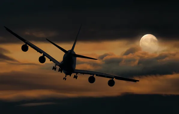 The sky, Clouds, Night, The plane, The moon, Liner, Flight, The full moon