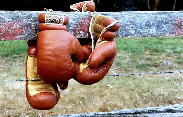 Sport, the fence, Boxing, Boxing gloves