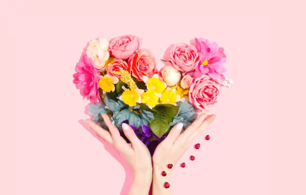 Heart, bouquet, hands