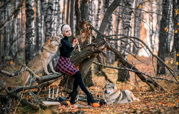Autumn, forest, dogs, look, girl, trees, branches, pose