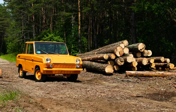 Retro, USSR, microcar, SMZ S3D, Invalidka