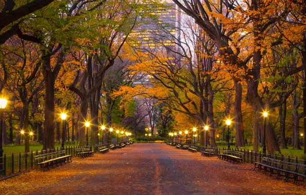 Wallpaper New York, USA, USA, New York, Central Park for mobile and ...