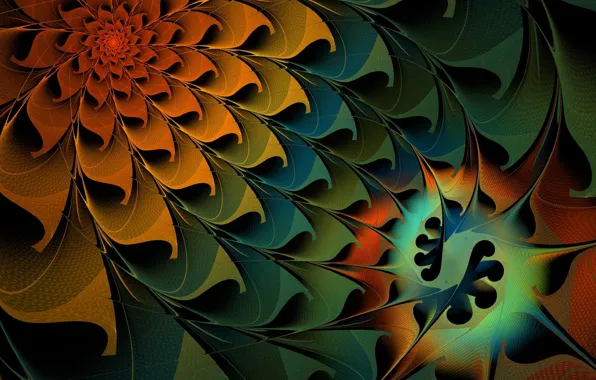 Flowers, pattern, petals
