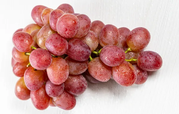 Drops, macro, berries, grapes, bunch