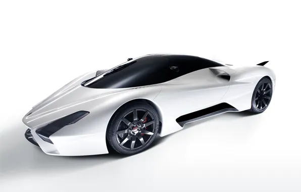 Picture 2012, SSC, Tuatara