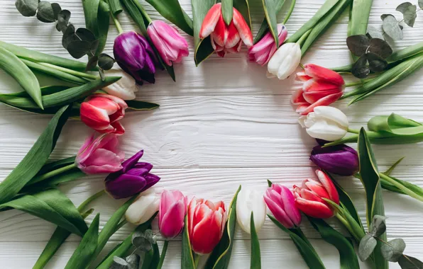 Picture flowers, colorful, tulips, pink, white, white, fresh, wood
