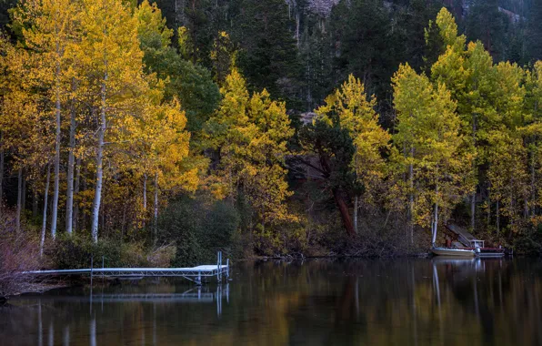 Autumn, forest, trees, lake, boat, pier