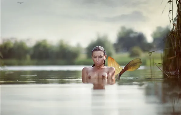 Brunette, Breasts, Mermaid, Lake, Tail, Reeds