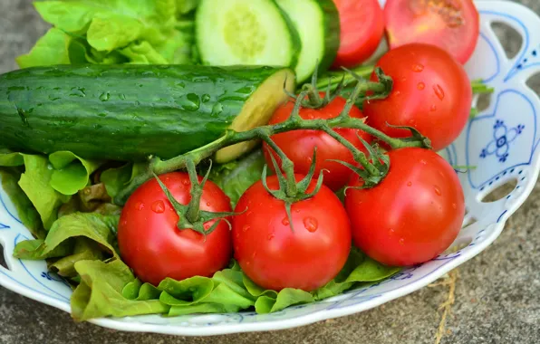 Picture vegetables, tomatoes, cucumbers, salad