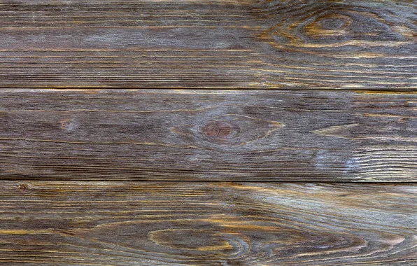 Color, wood, texture