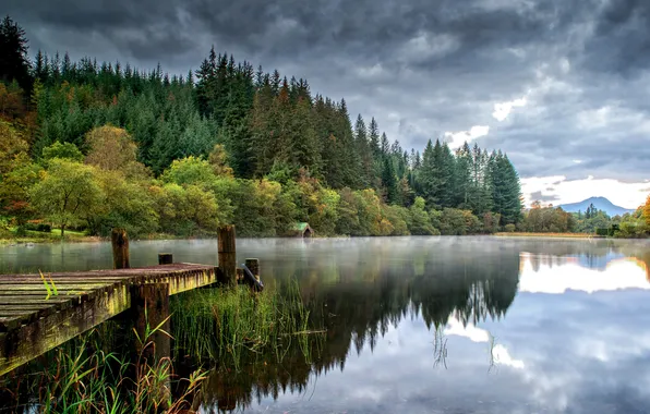 Forest, water, trees, clouds, reflection, river, shore, pier