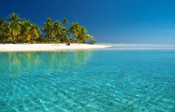 Landscape, Beach, Palm Trees