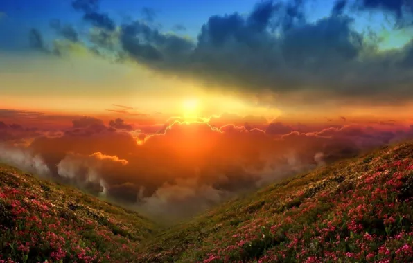 HILLS, GRASS, MOUNTAINS, The SKY, CLOUDS, FLOWERS, SUNSET, DAL