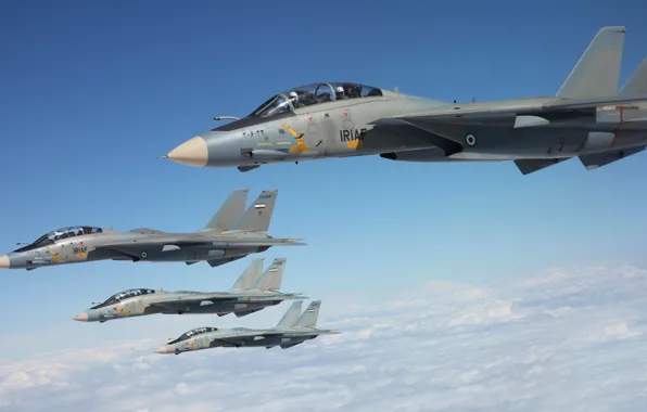 The sky, fighters, Grumman, Tomcat, F-14, deck