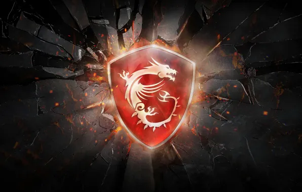 Brand, MSI, MSI Defense Solutions