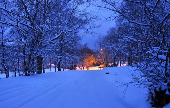 Picture winter, road, light, snow, trees, night, lights, the evening