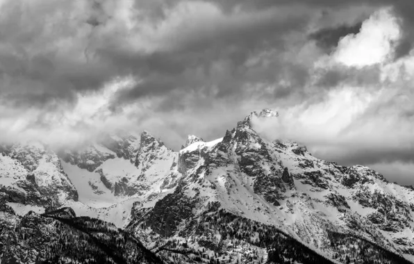 Picture winter, the sky, clouds, snow, trees, mountains, clouds, nature