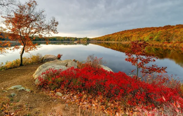 Autumn, landscape, nature, beauty