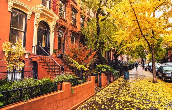 Picture autumn, leaves, girl, trees, umbrella, street, foliage, New York