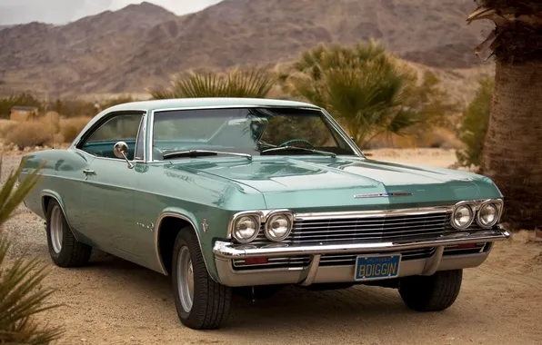 Picture Chevrolet, Chevrolet, classic, 1965, Coupe, the front, Impala, Impala