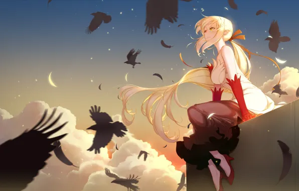 The sky, girl, birds, Bakemonogatari, Oshino Shinobu