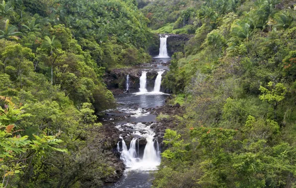Forest, river, waterfall, Hawaii, cascade