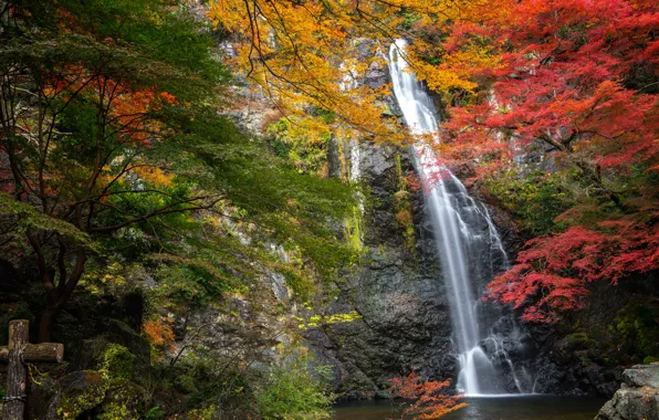 Autumn, trees, rock, Park, waterfall, Japan, Japan, Osaka