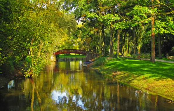 Picture grass, trees, bridge, nature, Park, river, photo, Poland