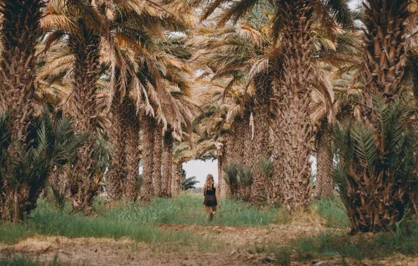 Grass, girl, nature, palm trees