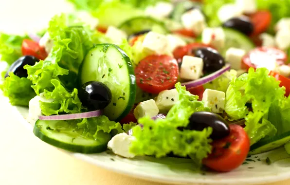 Cheese, bow, tomatoes, cucumbers, salad, olives