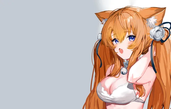 Girl, sexy, lingerie, bra, cleavage, long hair, boobs, animal ears