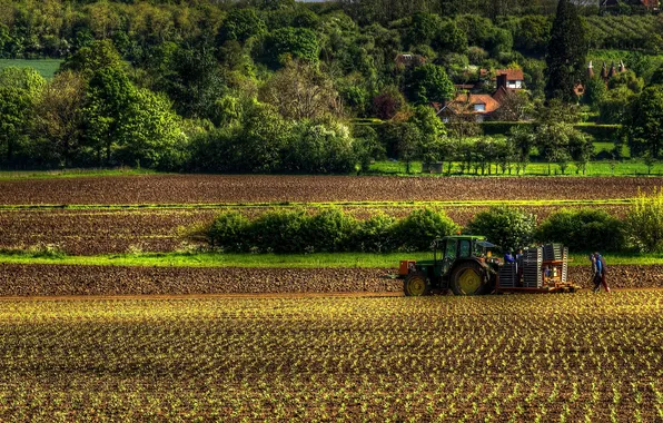 Trees, field, England, harvest, tractor, houses, plowing