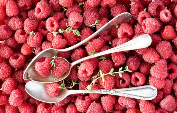 Berries, raspberry, a lot, spoon, Anna Verdina