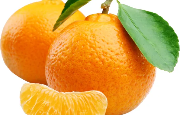 Macro, sheet, orange, slice, citrus