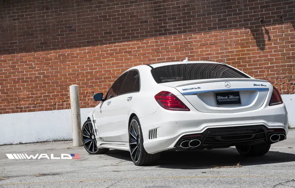 TUNING, WALD, MERCEDES, BENZ, BLACK BISON, W222, S-CLASS