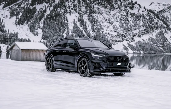 Winter, forest, snow, mountains, lake, Audi, TDI, ABBOT
