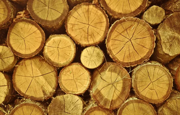 Picture circles, tree, wood, logs, hemp
