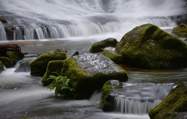 Picture river, stones, stream, thresholds