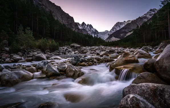 Forest, trees, mountains, stones, rocks, dawn, river, Alania