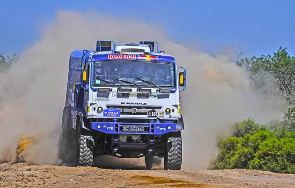 Grass, Dust, Sport, Speed, Race, Master, Dirt, Squirt