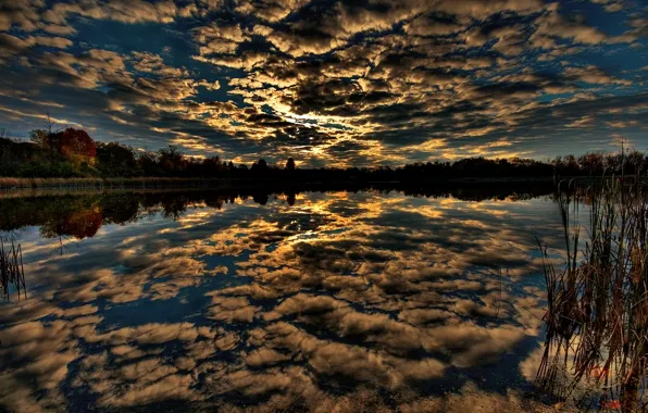 Picture forest, the sky, water, reflection, Clouds